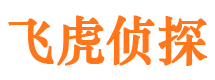 凤县市婚外情调查